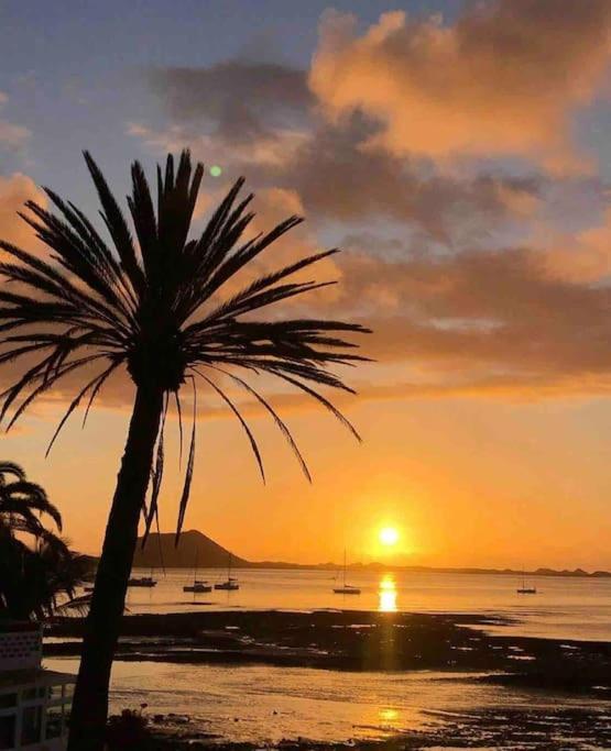 Corralejo Home Beach & Center Eksteriør bilde